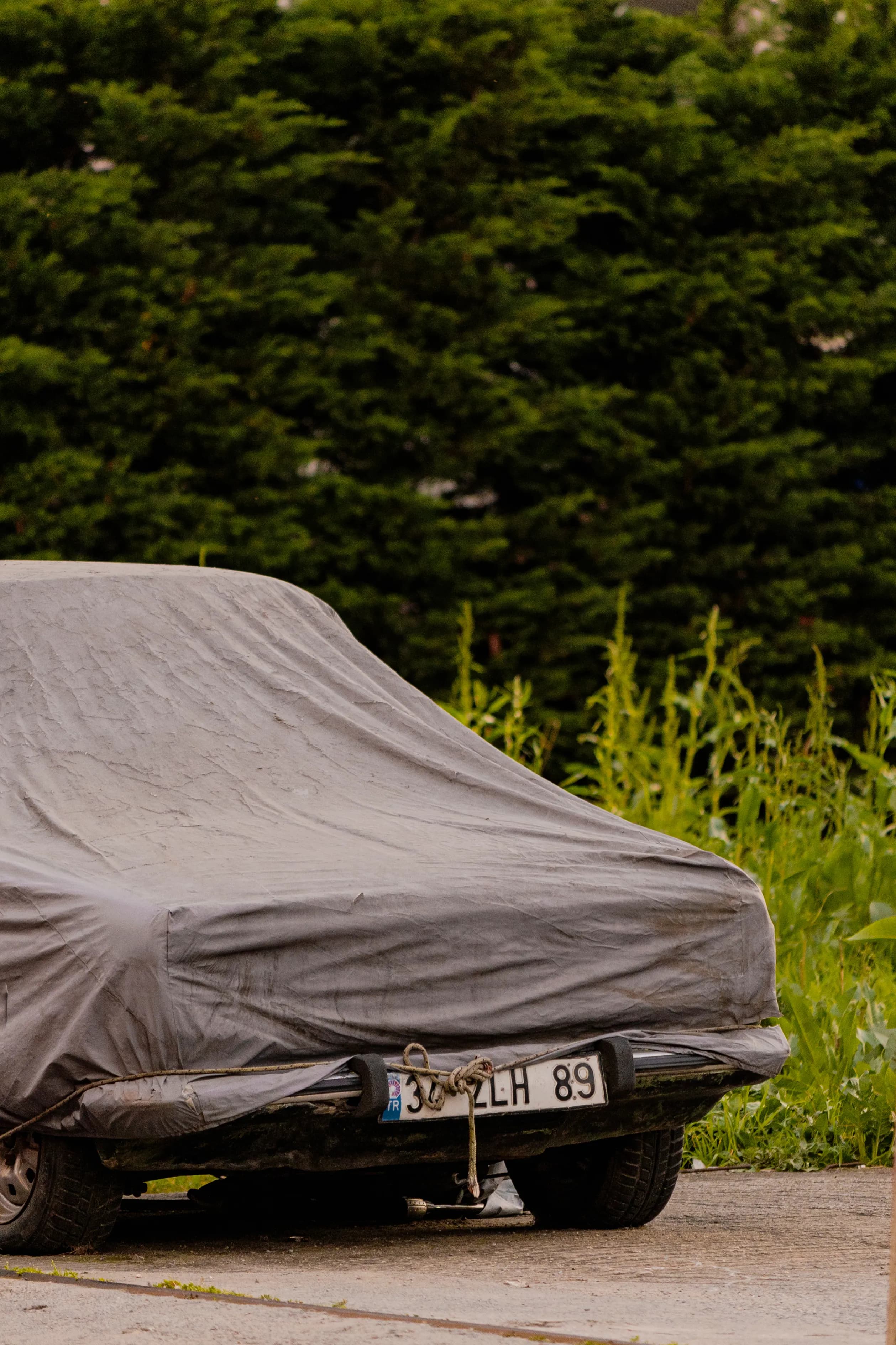 All-Weather Car Cover (Sedan)