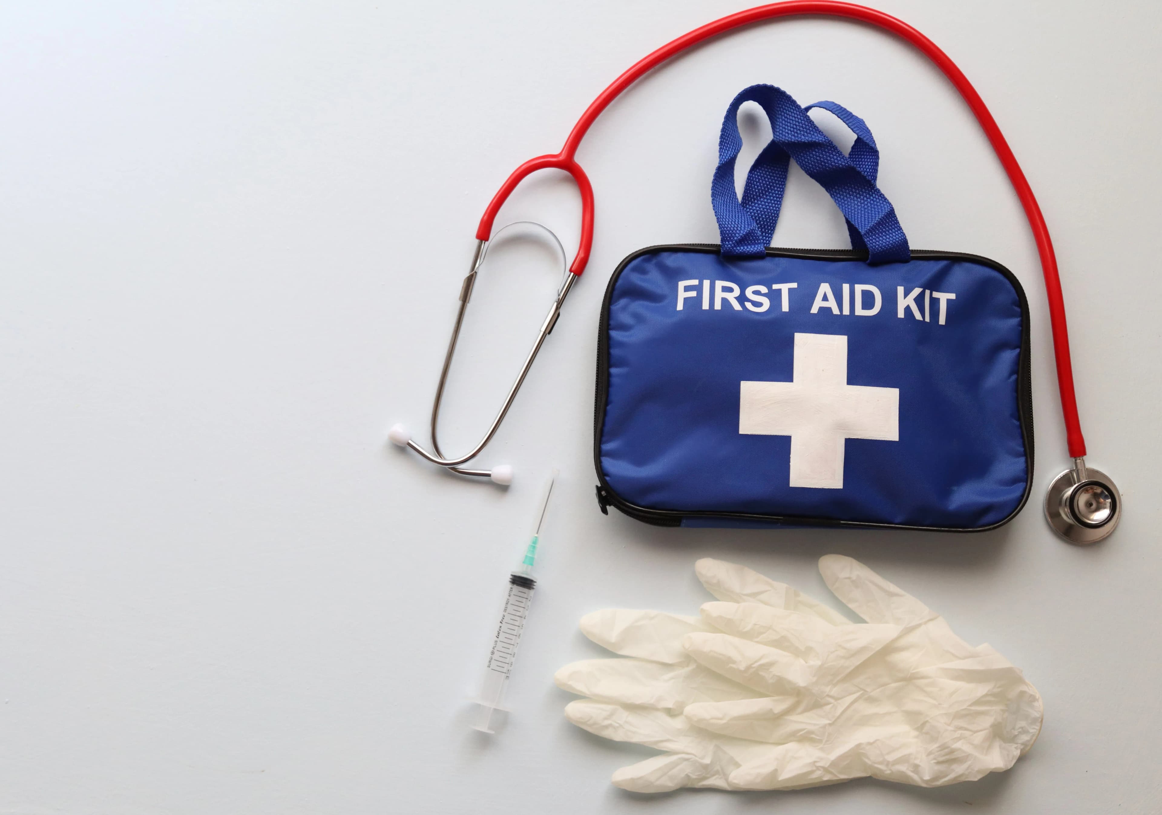Roadside Emergency Kit (22-Piece)